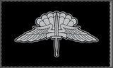 Military Free Fall (HALO) Badge Double-Sided Flag - 36 x 60 Home Decor Printify 